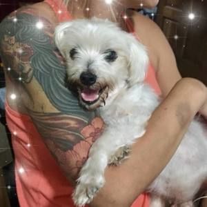 Meet your Posher, Okhui